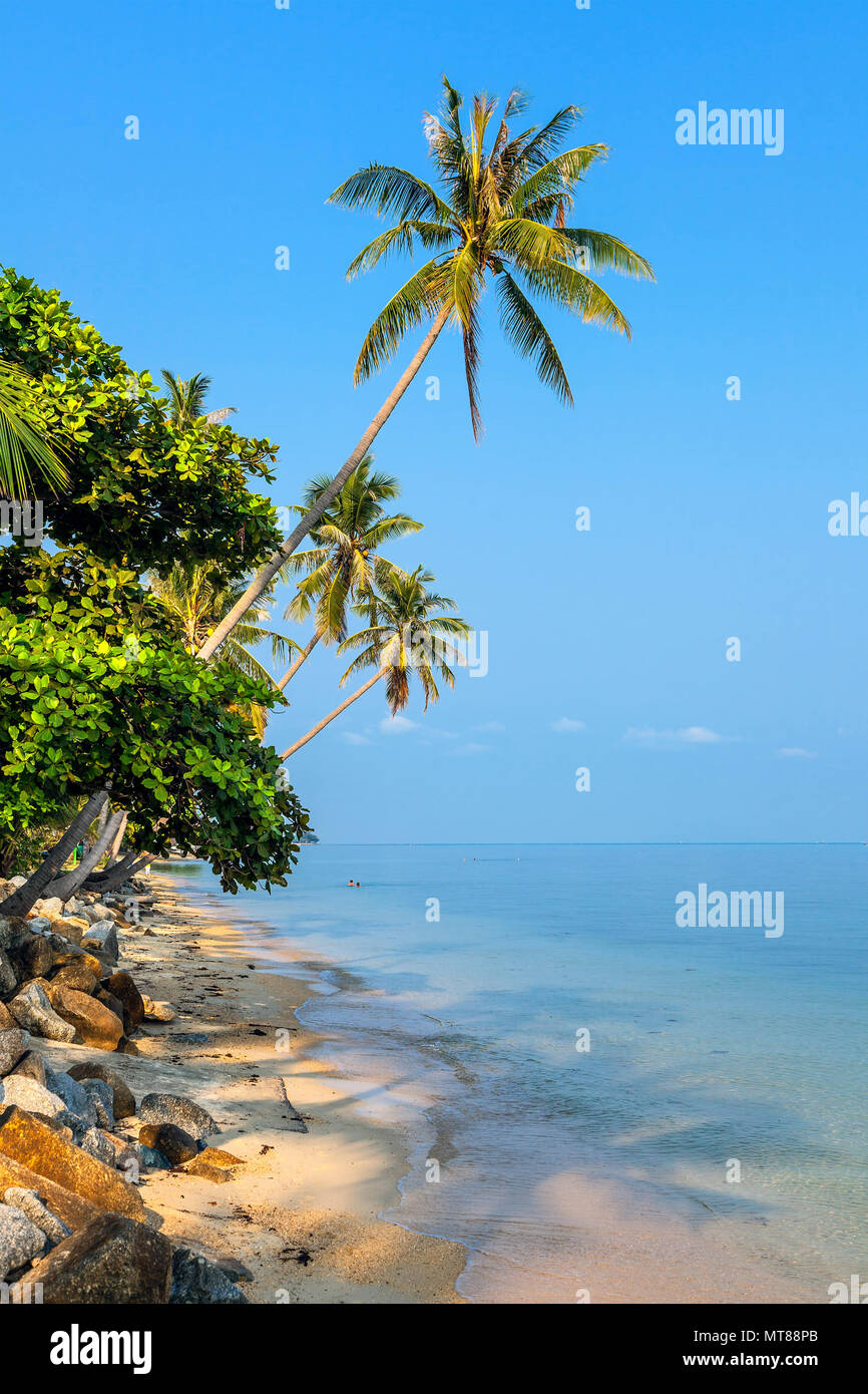 Matin sur l'île de Koh Samui Banque D'Images
