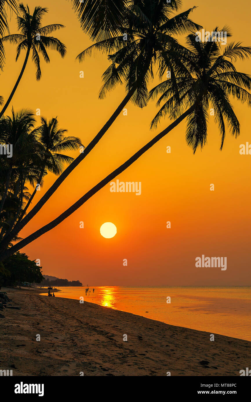 Coucher du soleil sur la plage de Bang Por sur Koh Samui en Thailande Banque D'Images