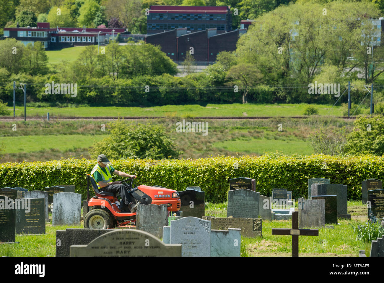 Homme au travail (empoyee de conseil local) siège au tour sur tondeuse et coupe de l'herbe entre les pierres tombales du cimetière - Guiseley, West Yorkshire, Angleterre, Royaume-Uni. Banque D'Images