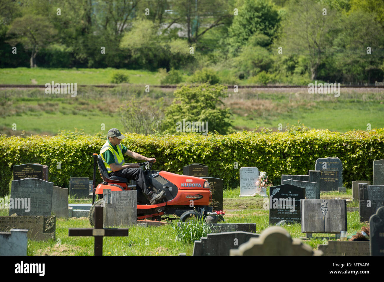 Homme au travail (empoyee de conseil local) siège au tour sur tondeuse et coupe de l'herbe entre les pierres tombales du cimetière - Guiseley, West Yorkshire, Angleterre, Royaume-Uni. Banque D'Images