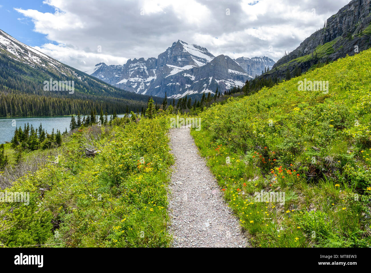 Spring Mountain Trail - un sentier de randonnée s'enroulant vers Mount Gould dans une vallée à bord du lac Josephine dans le Glacier National Park, Montana. Banque D'Images