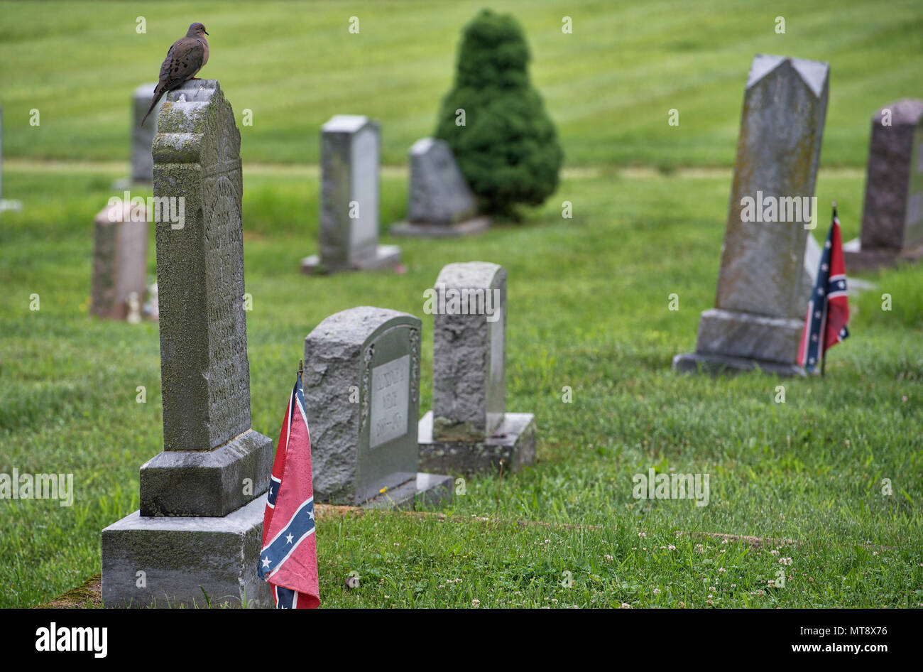 Bloomfield, USA. 28 mai 2018 : un matin triste reste sur la tête de pierre d'un ancien combattant de la guerre civile sur le jour du Souvenir au cimetière d'Ebenezer Baptist Church dans le village de Bloomfield dans l'ouest de Loudoun County, en Virginie. (Photo par Douglas Graham/Loudoun maintenant) Crédit : William Graham/Alamy Live News Banque D'Images