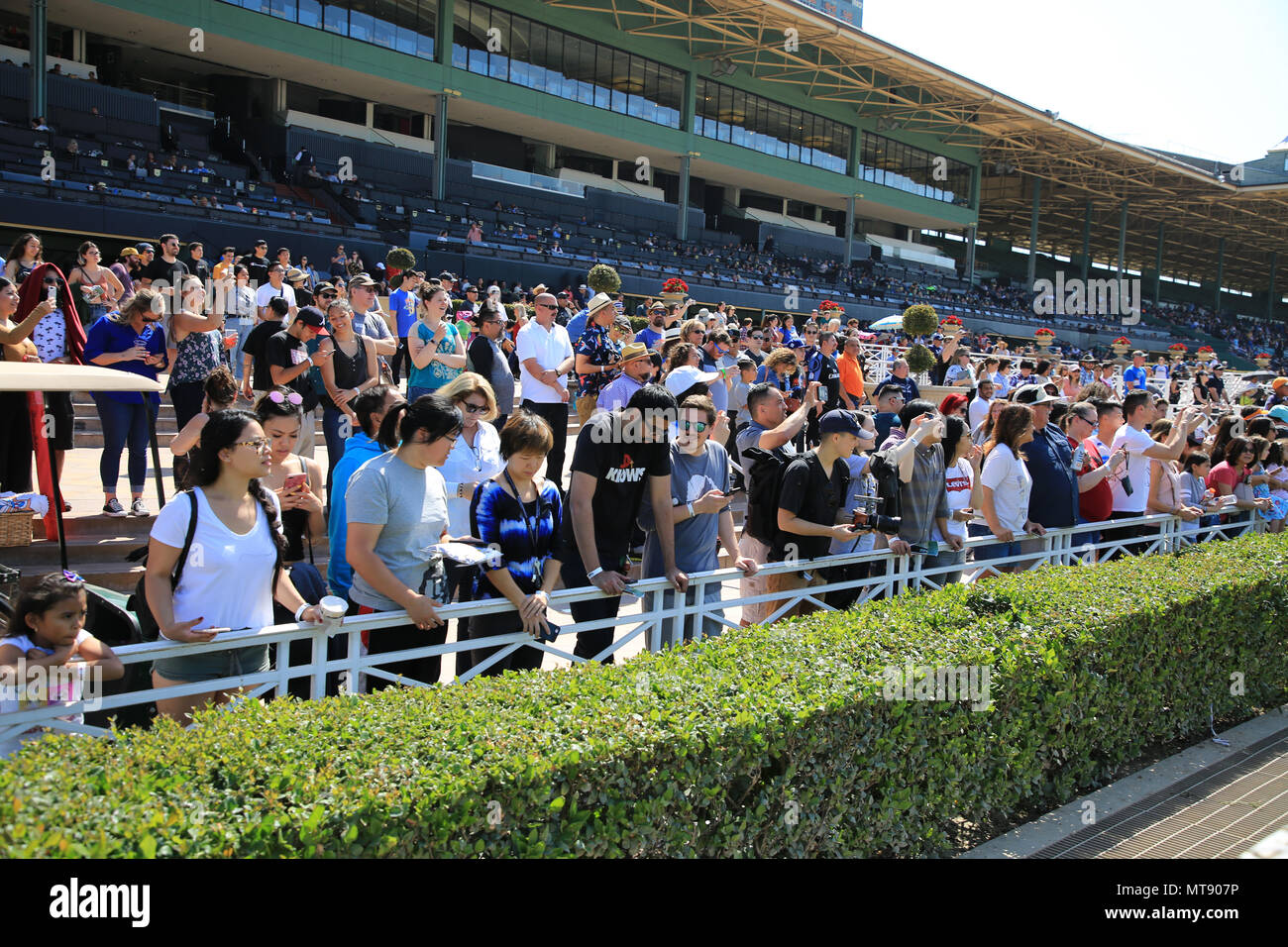 Arcadia, Californie, USA. 27 mai, 2018. La foule attend la course finale lors de la première assemblée annuelle tenue à ressortissants Corgi SoCal Santa Anita Park à Arcadia, en Californie. Une centaine de Corgis se faisaient concurrence pour obtenir le meilleur Corgi avec les tours de qualification tenue à l'entrepiste gazonnée, et les demi-finales et finales, s'est tenue sur le cheval piste à Santa Anita Park. Credit : Sheri Deteman/Alamy Live News Banque D'Images