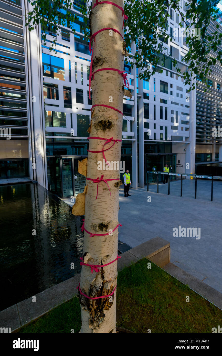 22 mai 2018 - Londres, Royaume-Uni. Un arbre avec un ruban rose autour de leurs troncs devant le Home Office. Manifestants devant le Home Office pour mettre fin à tous les vols affrétés de prendre de force les migrants de retour vers les pays du Commonwealth et, en particulier, ont protesté contre un vol secret attendu cette semaine pour le Pakistan. Beaucoup sont retenus pour la déportation et chacun accompagné par deux ou plusieurs agents de sécurité, et les passagers et membres d'équipage sur les services normaux ont souvent refusé de décoller avec des gens qui s'opposent à juste titre d'être prises pour des pays où ils risquent la persécution, harm, isolat Banque D'Images