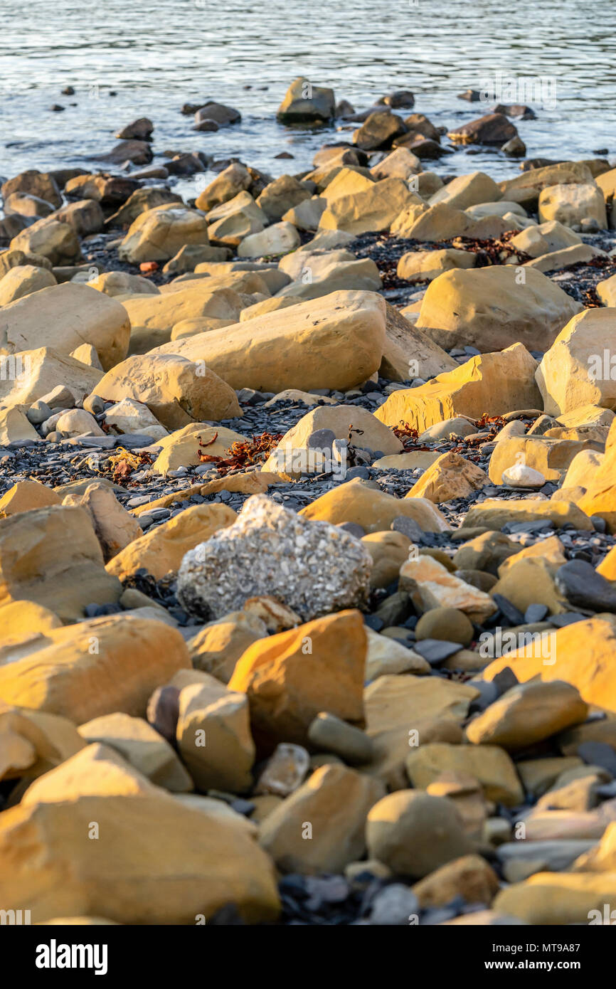 Kimmeridge Clay le long de la plage de la baie de Kimmeridge sur la côte jurassique, Dorset, England, UK Banque D'Images