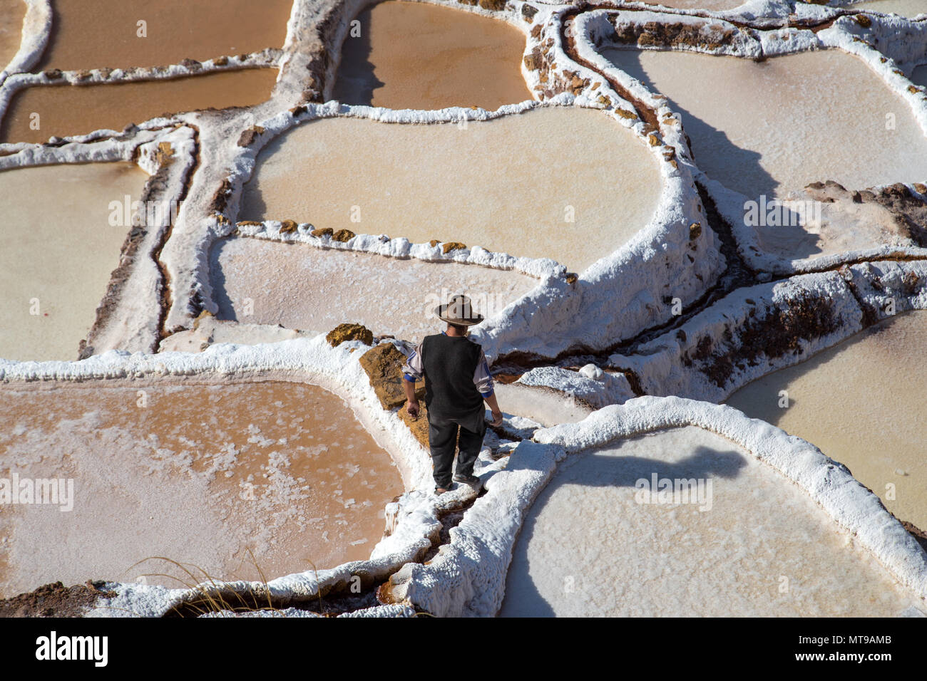 Mines de sel de Maras, Pérou Banque D'Images