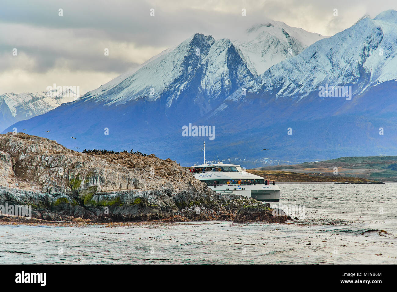 Les lions de mer et d'un oiseau sur une petite île dans le Canal de Beagle. Patagonie Argentine à l'automne Banque D'Images