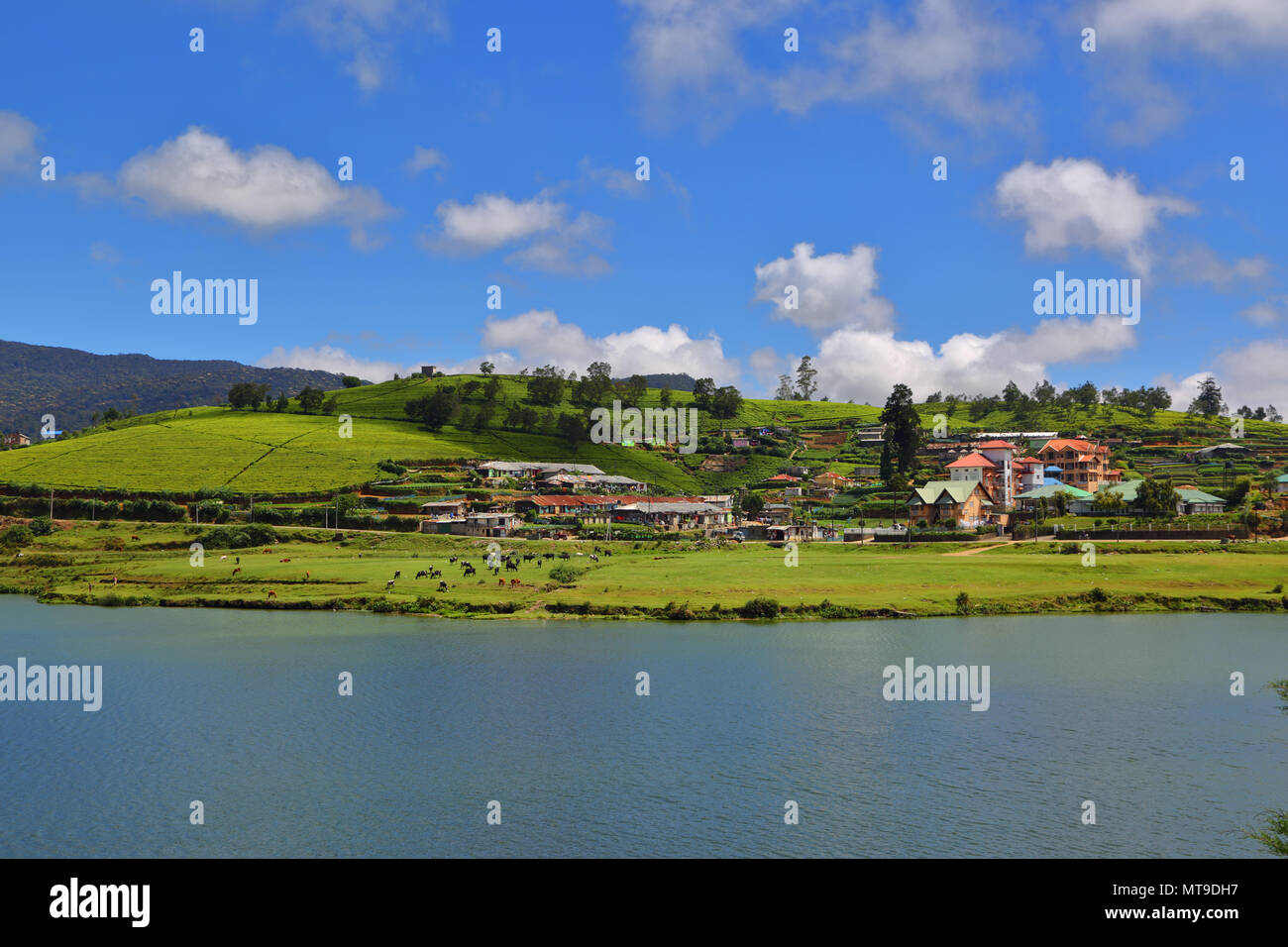Gregory lake à Nuwara Eliya, Sri Lanka Banque D'Images