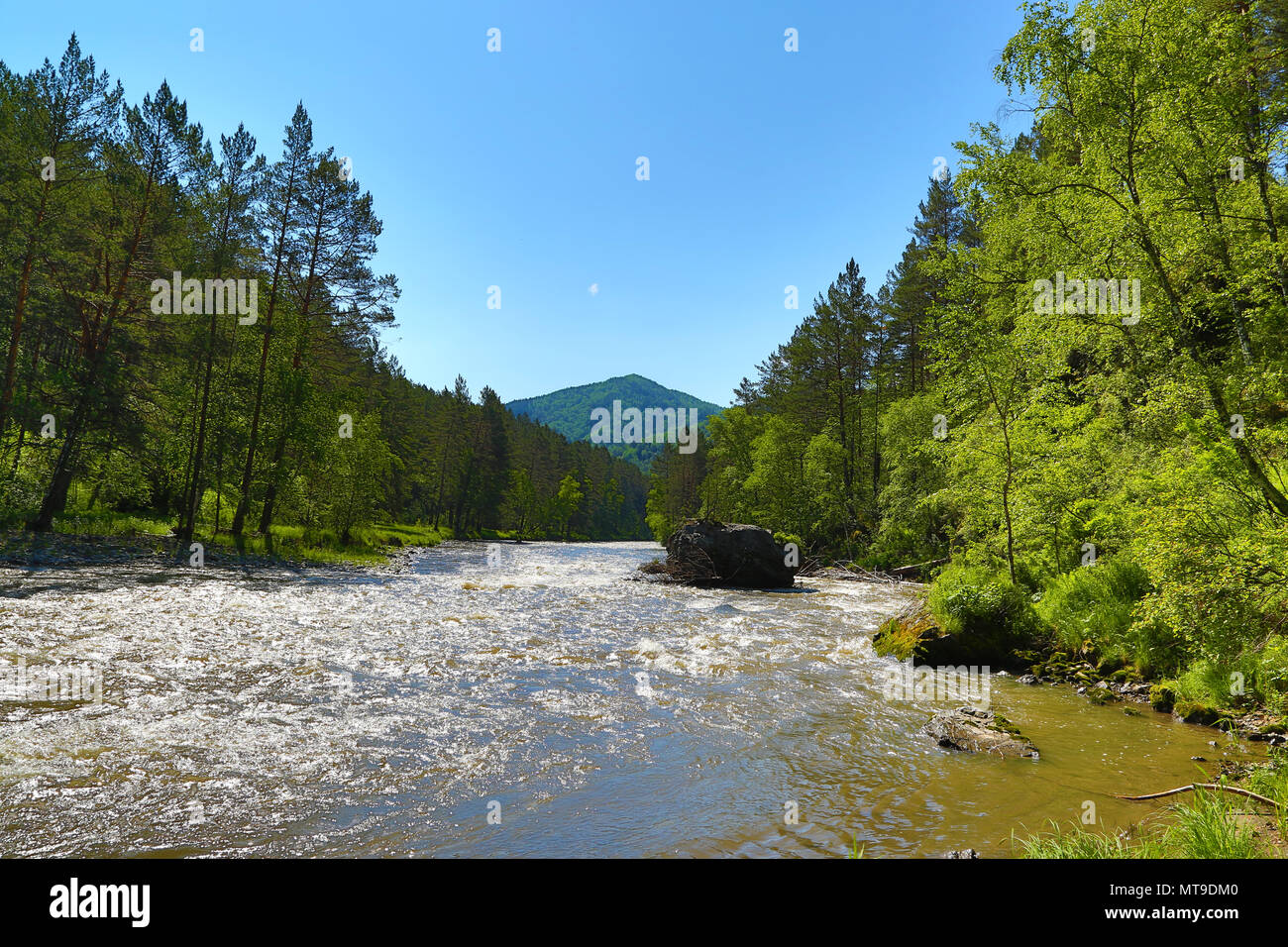 Rivière de montagne paysage Sema dans l'Altaï Banque D'Images