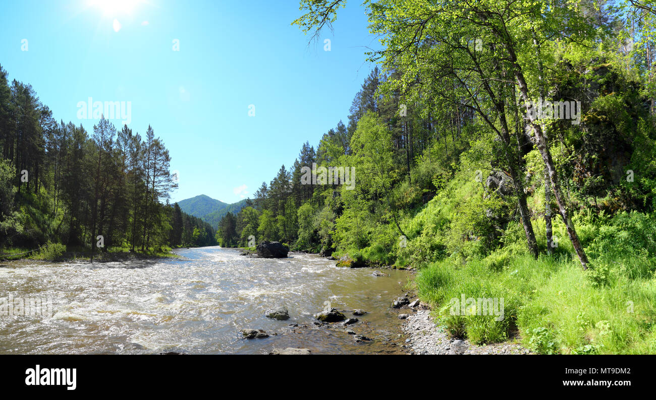 Rivière de montagne paysage Sema dans l'Altaï Banque D'Images
