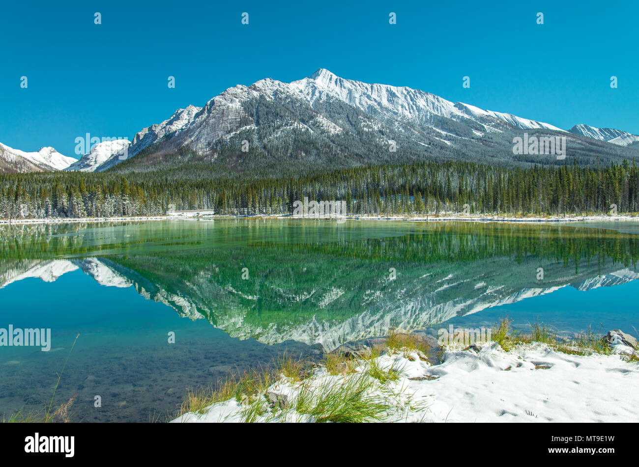 Reflet parfait de montagnes couvertes de neige sur lac alpin encore miroir, étang, tarn. Arbres et forêt se reflétant sur l'eau bleu, bleu ciel sans nuages. Banque D'Images