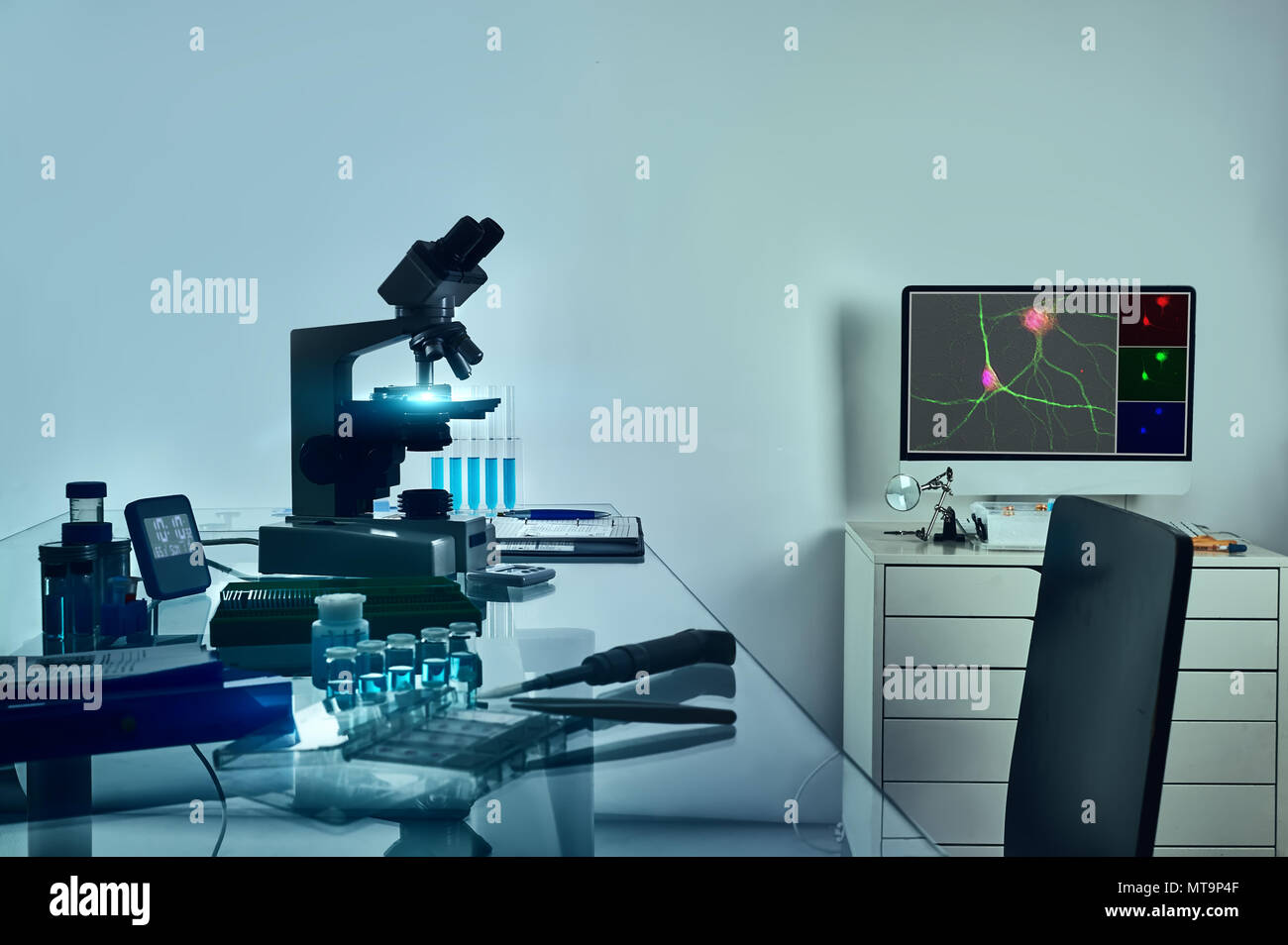 Station de travail microscopique. Microscope, le moniteur de l'ordinateur avec digital image fluorescente des cellules neuronales et histologiques des outils de fixation sur table en verre Banque D'Images