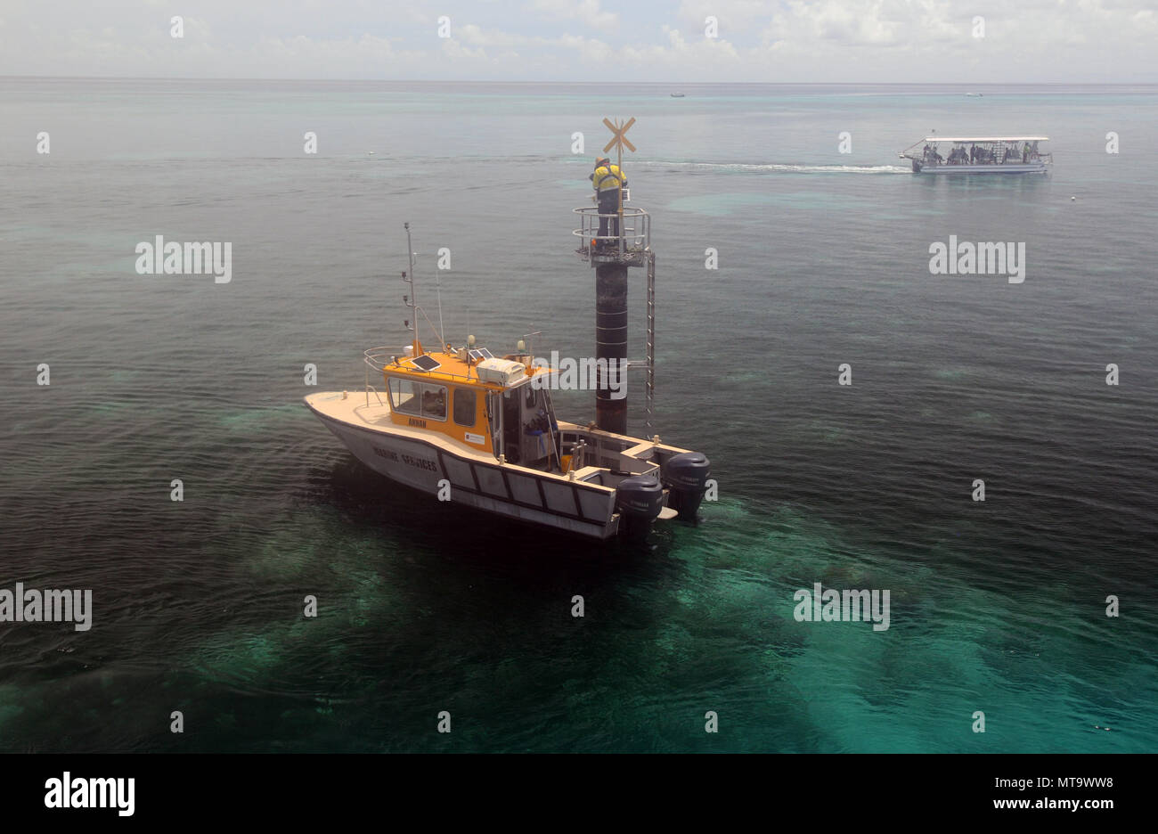 Le service de navigation maritime Technicien, Grande Barrière de Corail près de Cairns, Queensland, Australie. Pas de monsieur ou PR Banque D'Images