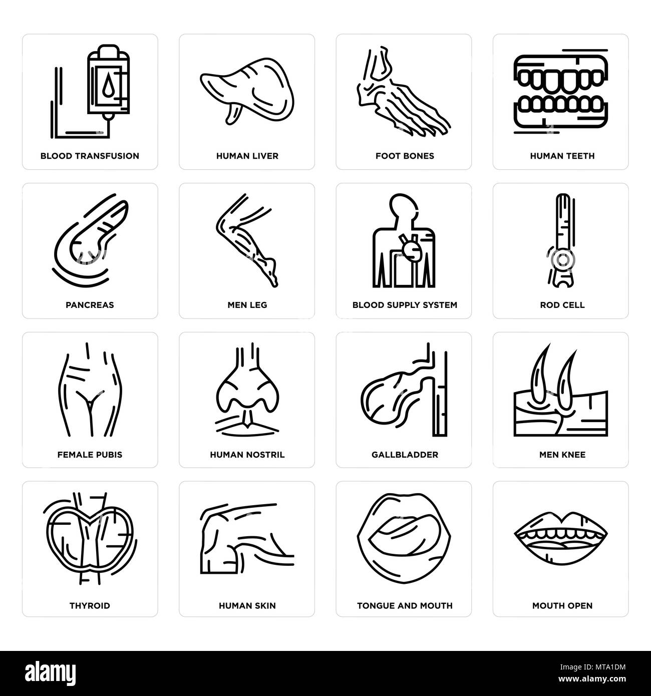 Ensemble de 16 icônes modifiable simple comme ouvrir la bouche, de la langue et de la bouche, de la peau, de la thyroïde, les hommes du genou, la transfusion sanguine, du pancréas, de l'alimentation, le pubis féminin Illustration de Vecteur
