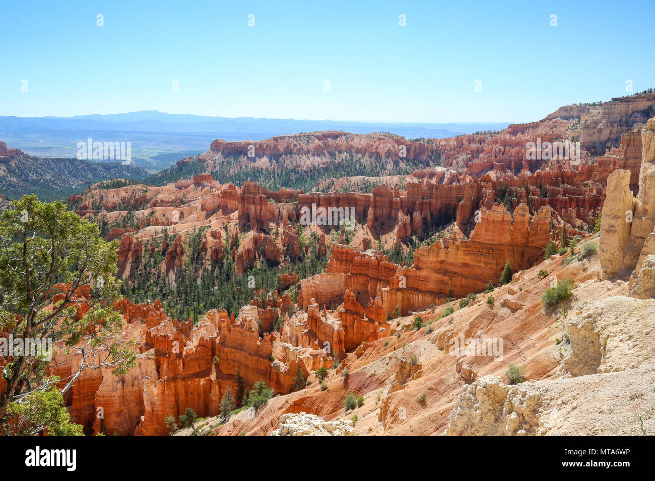 Hoodoos de Bryce Canyon à Bryce Canyon National Park, UT Banque D'Images