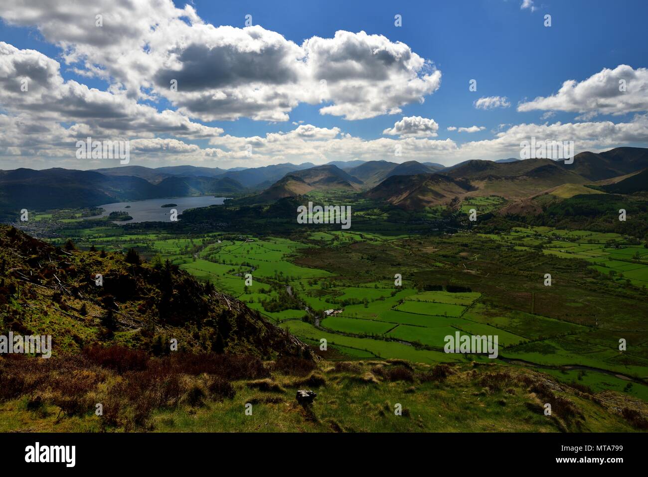 Thornthwaite Forest roulant sur les nuages Banque D'Images