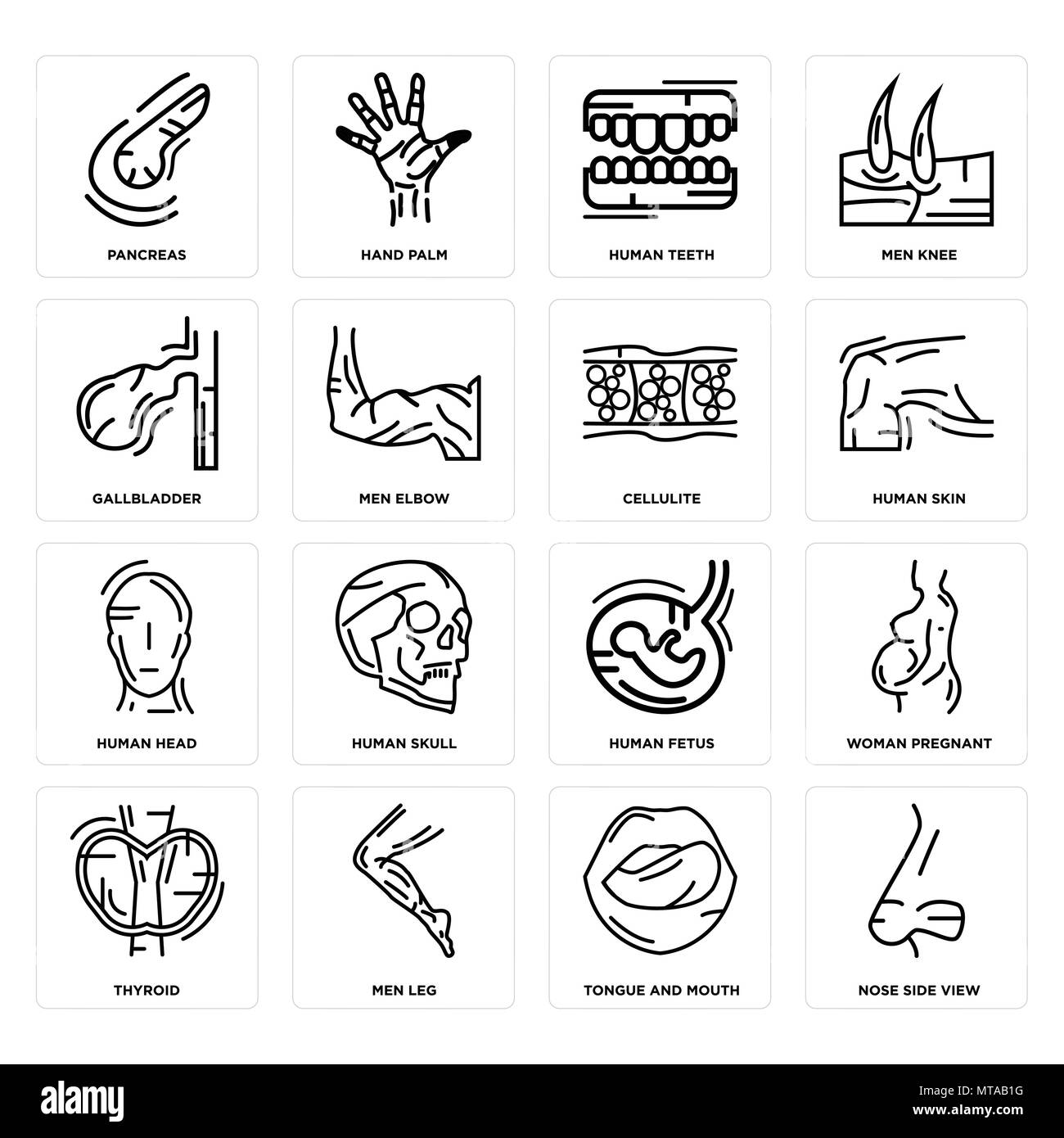 Ensemble de 16 icônes modifiable simple telle que vue du côté du nez, de la langue et de la bouche, les hommes de la jambe, de la thyroïde, femme enceinte, pancréas, vésicule biliaire, tête humaine, Celluli Illustration de Vecteur