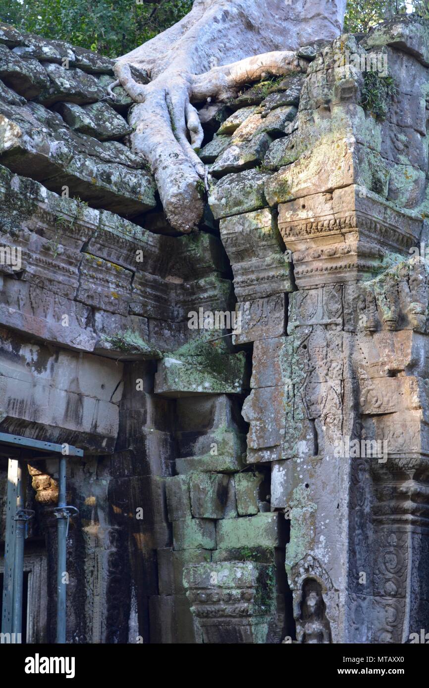 La lumière du soleil sur les ruines du temple de ta phrom, Cambodge Banque D'Images