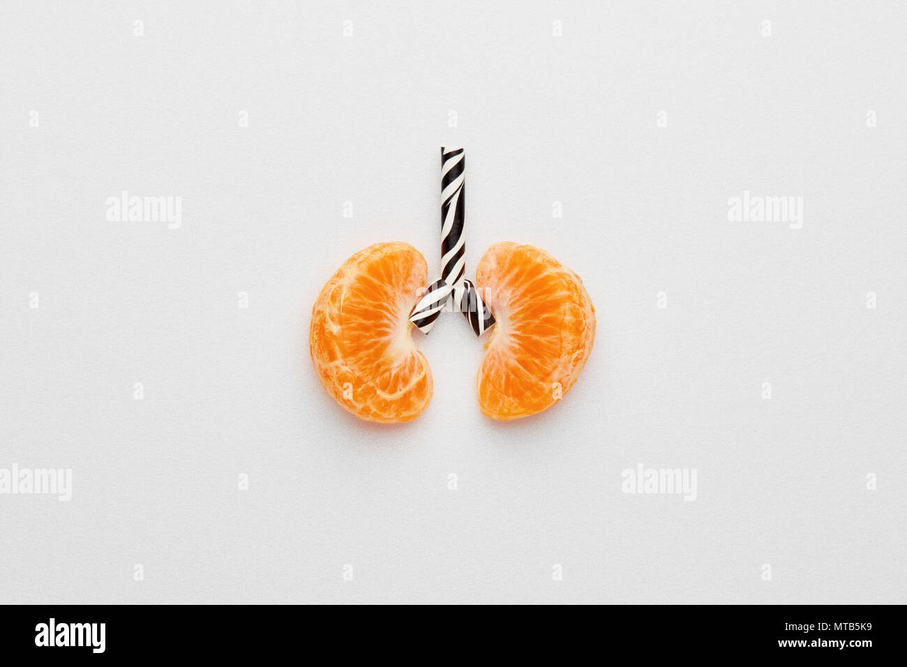 Image conceptuelle des poumons humains. La mandarine et la paille conçu comme lung sur fond blanc avec l'exemplaire de l'espace. Banque D'Images