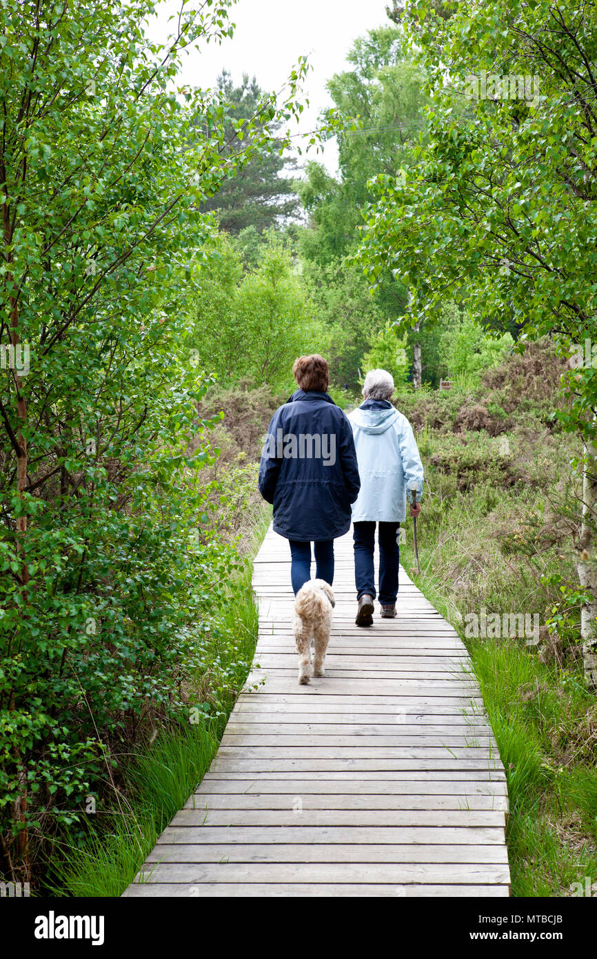 Deux personnes marchant un terrier tibétain sur dod un conseil à pied n une réserve naturelle en commun Thursley Surrey Banque D'Images