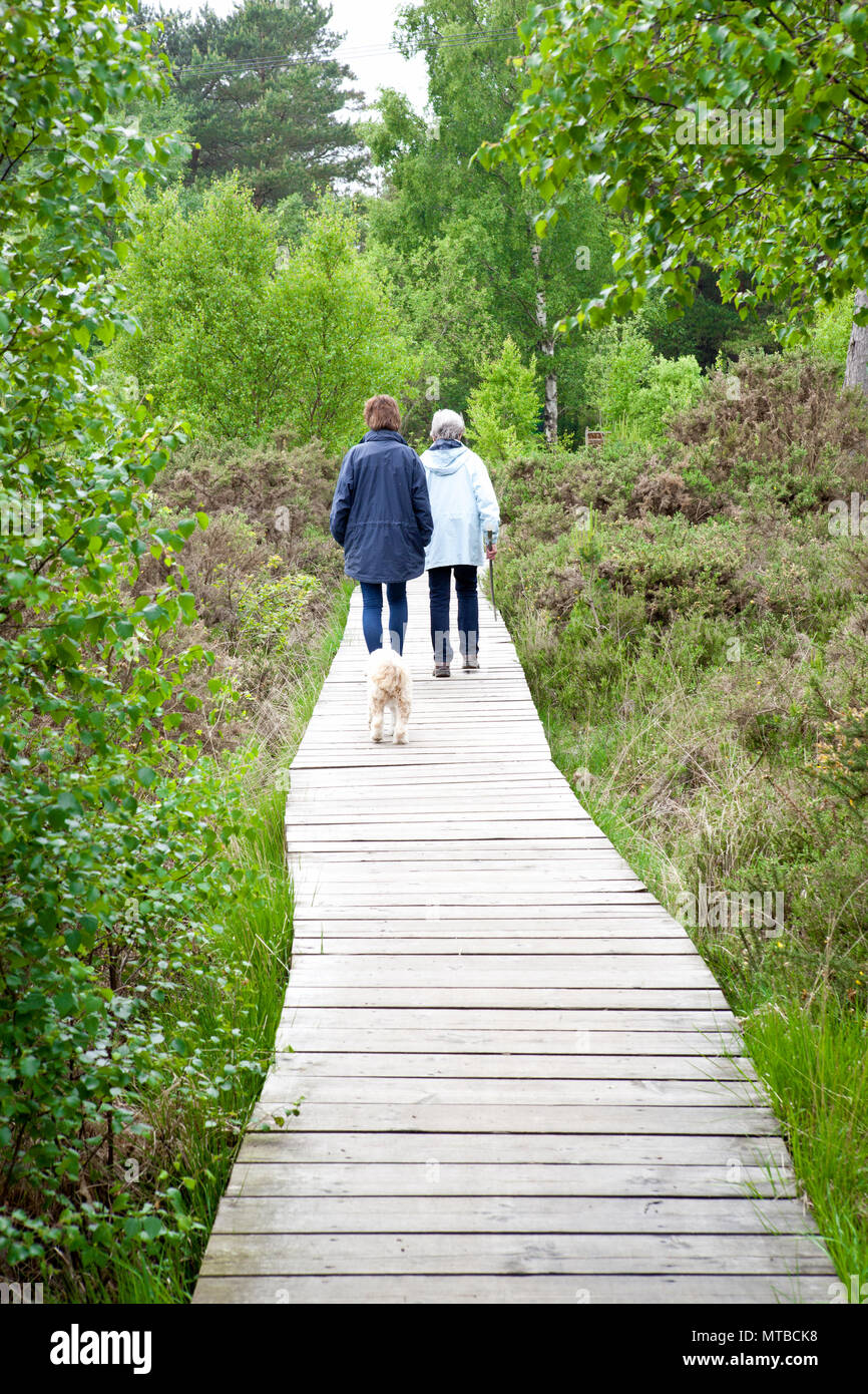 Deux personnes marchant un terrier tibétain sur dod un conseil à pied n une réserve naturelle en commun Thursley Surrey Banque D'Images