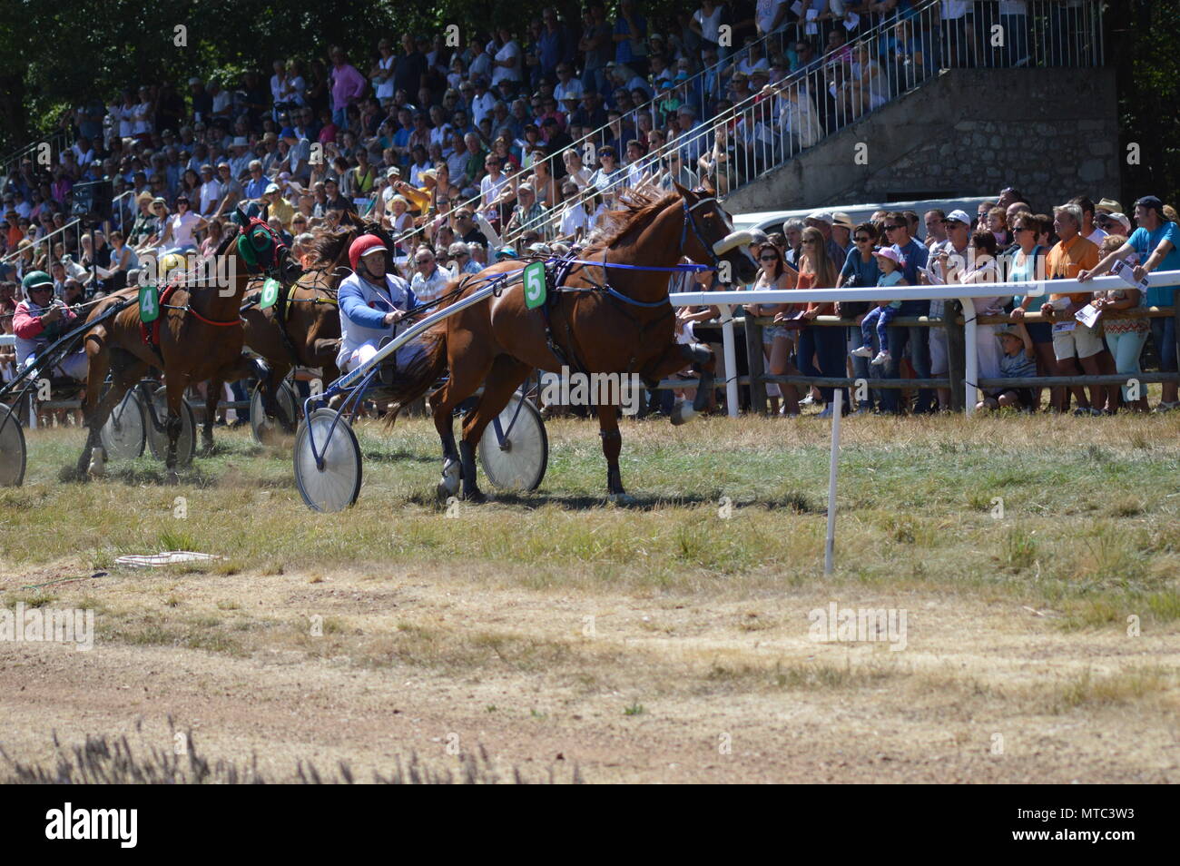 Un hippodrome Sault (sud de la France, la seule course de chevaux de l'année, 13 août 2017) Banque D'Images