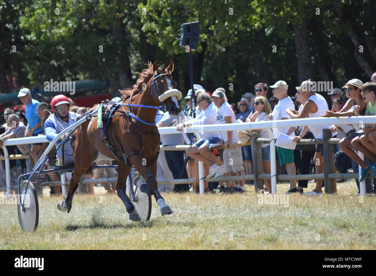 Un hippodrome Sault (sud de la France, la seule course de chevaux de l'année, 13 août 2017) Banque D'Images