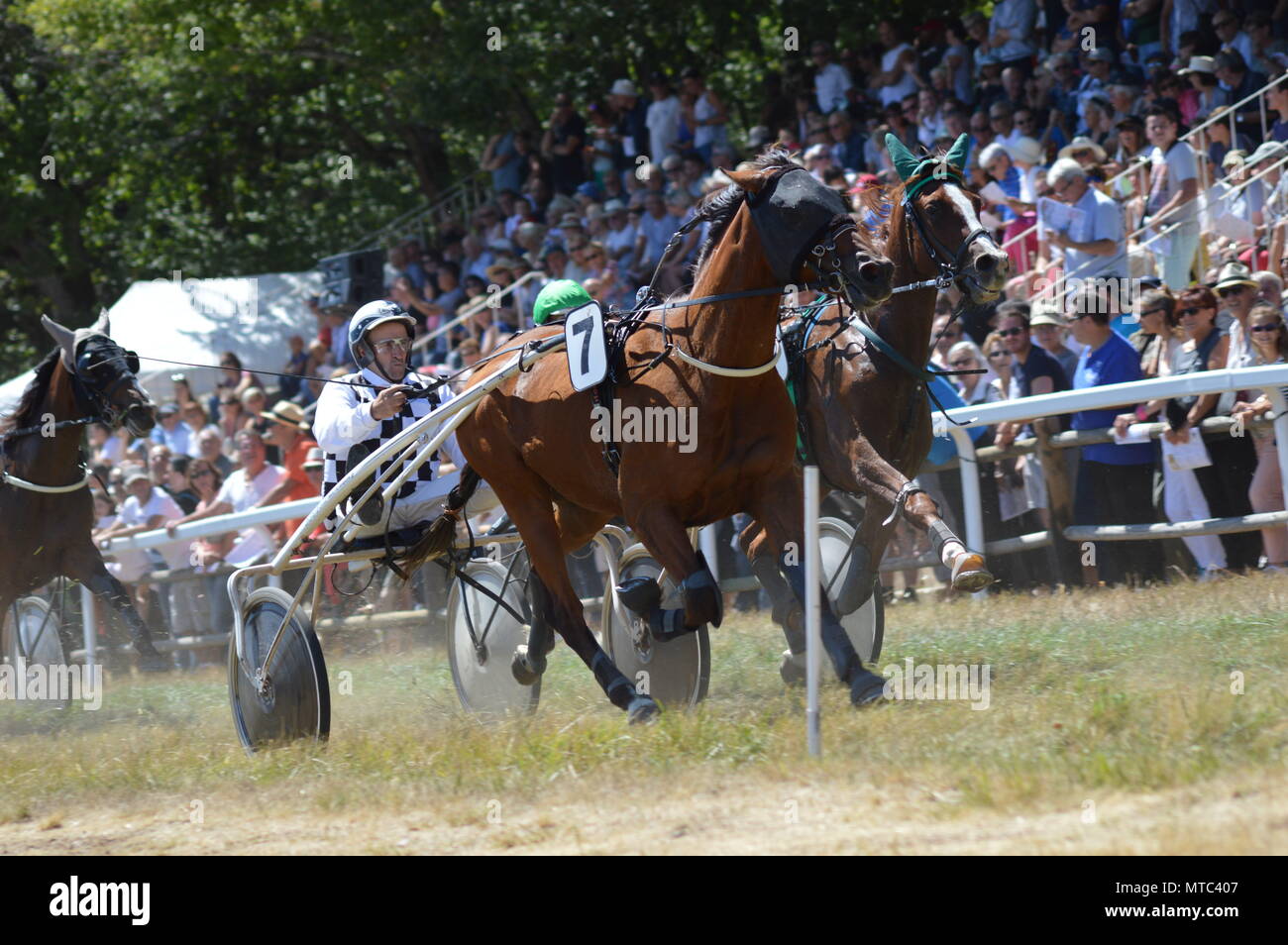 Un hippodrome Sault (sud de la France, la seule course de chevaux de l'année, 13 août 2017) Banque D'Images