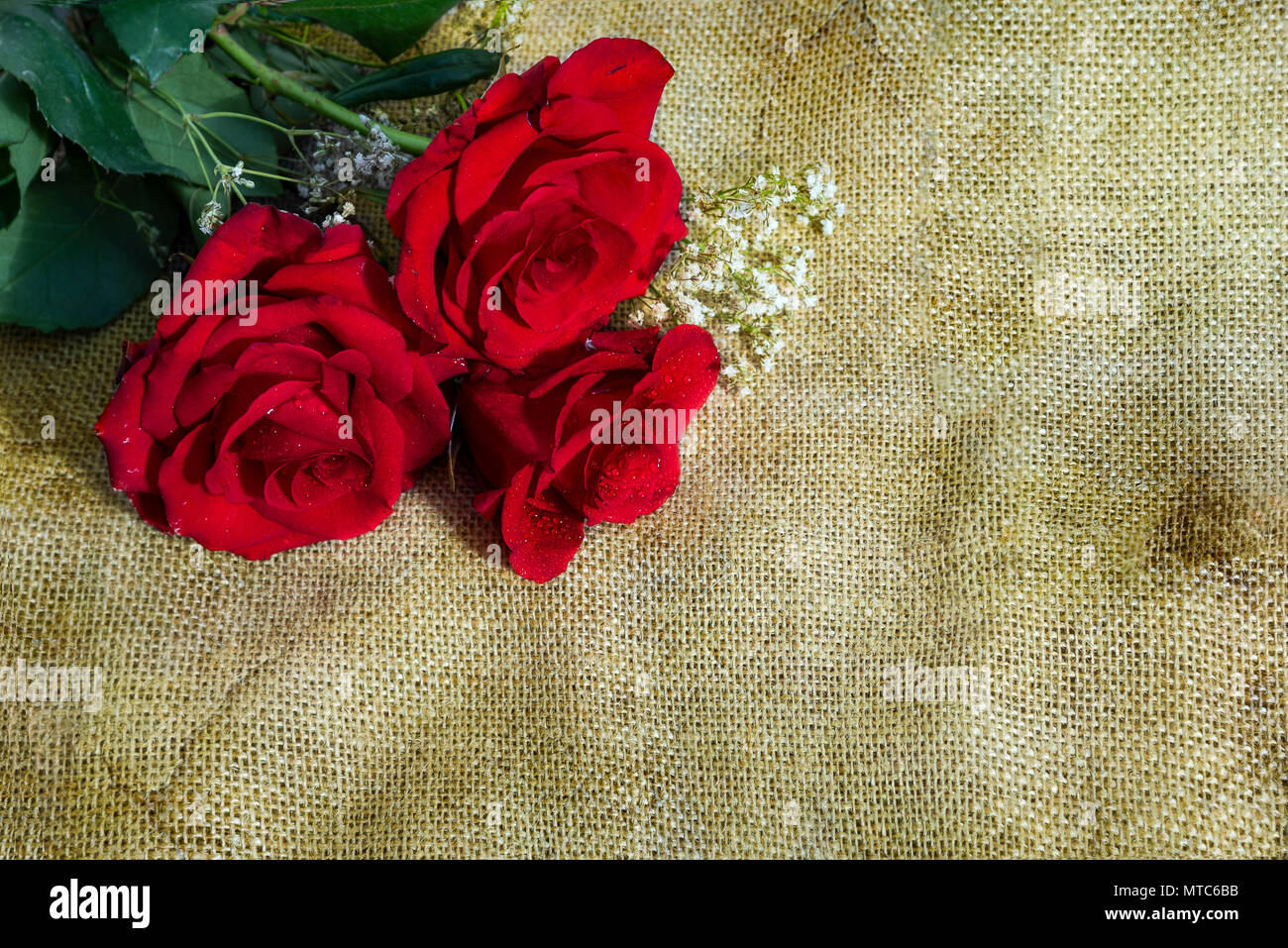 Trois roses rouges sur fond rustique avec copie espace. Concept romantique Banque D'Images