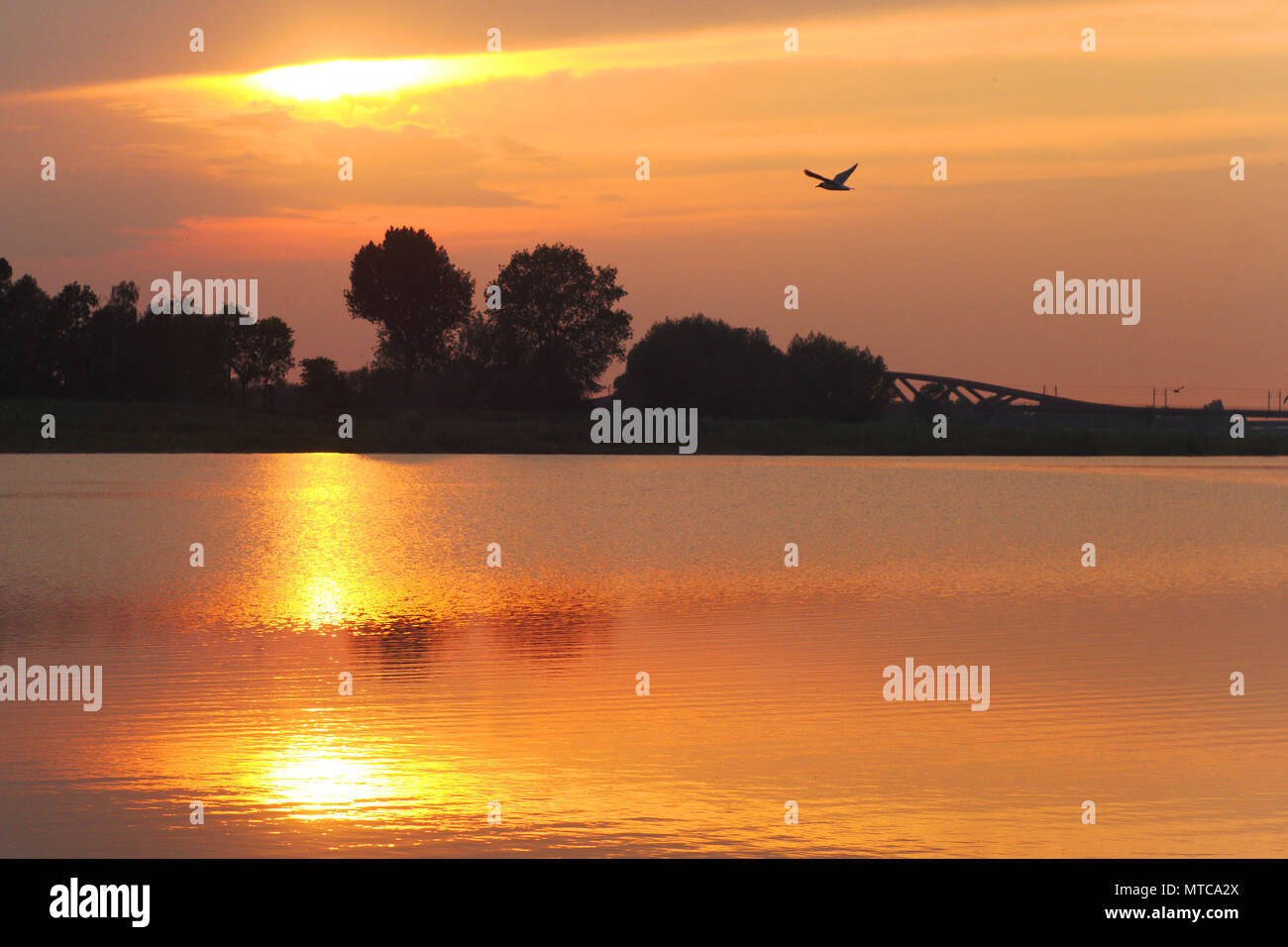 Coucher de soleil sur la rivière IJssel près de Zwolle Banque D'Images
