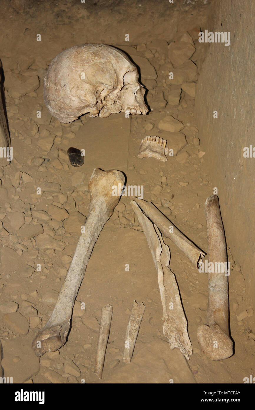 Des restes de squelettes d'homme Brymbo Banque D'Images