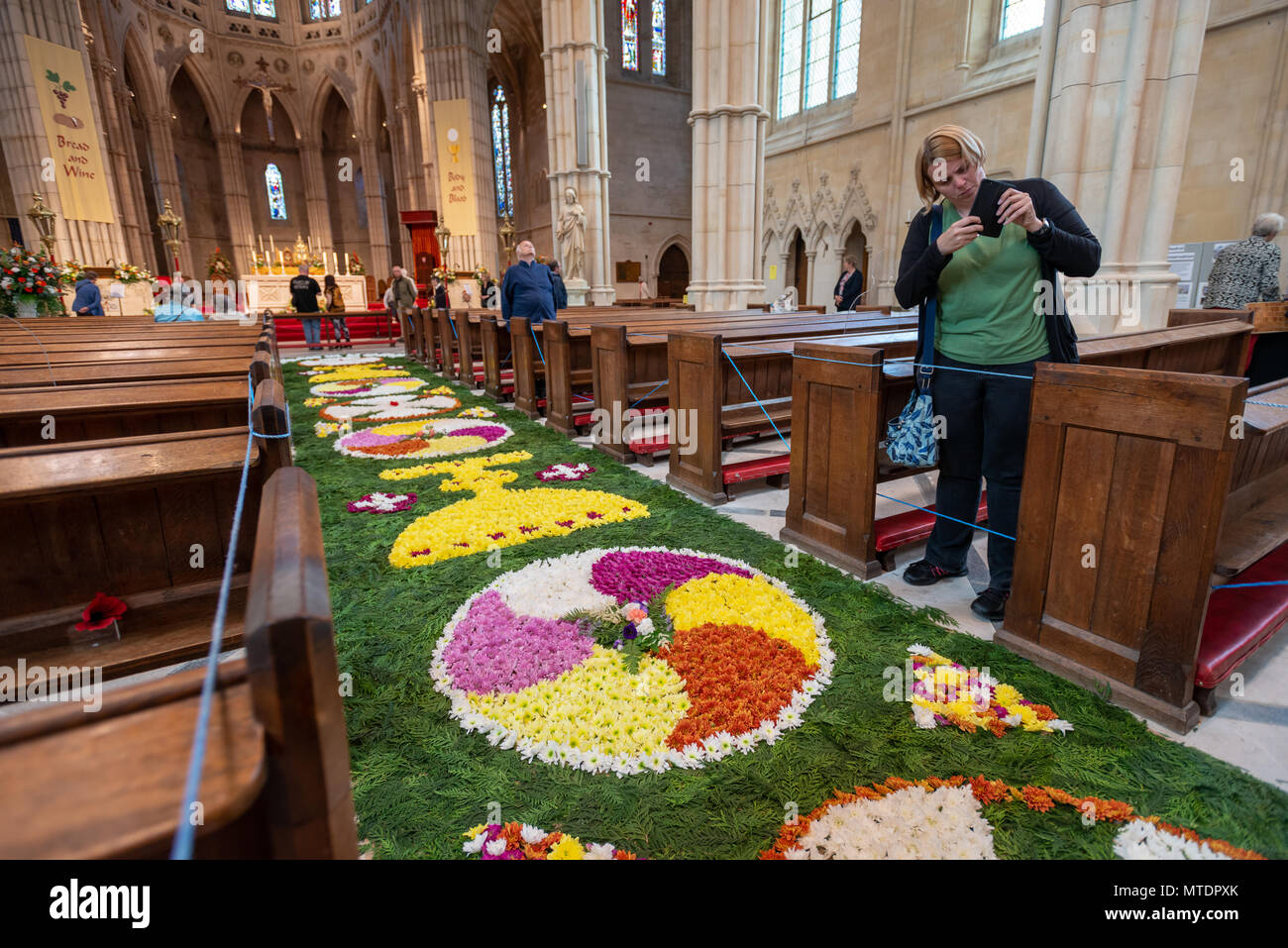 Un visiteur d'Arundel Cathedral at Arundel dans le West Sussex, Angleterre prend une photo d'un beau tapis de fleurs dans l'allée centrale. Chaque année une fête des fleurs est tenue à la cathédrale pour célébrer la fête de Corpus Christi. Banque D'Images