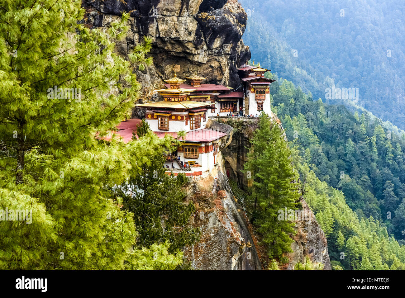 Tigre bouddhiste monastère Taktshang nid sur steep rock face, Tiger's Nest, Paro District, Himalaya, Royaume du Bhoutan Banque D'Images