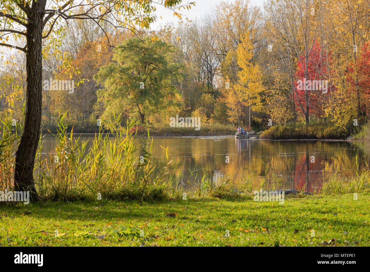 Automne dans le Parc Angrignon à Montréal, Canada Banque D'Images