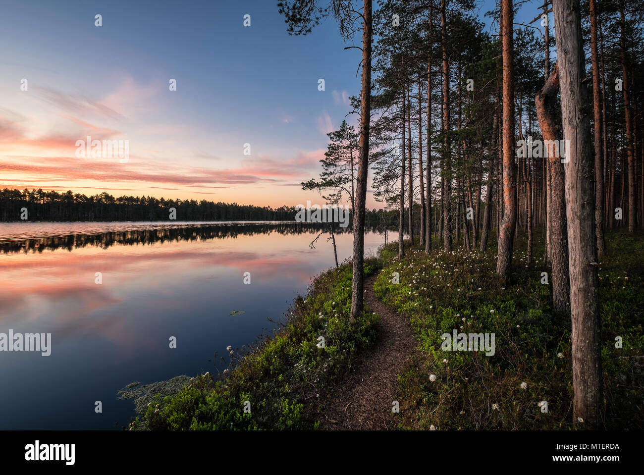 Avec vue sur le lac pittoresque chemin idyllique et paisible en soirée au coucher du soleil, Parc National de Finlande Banque D'Images