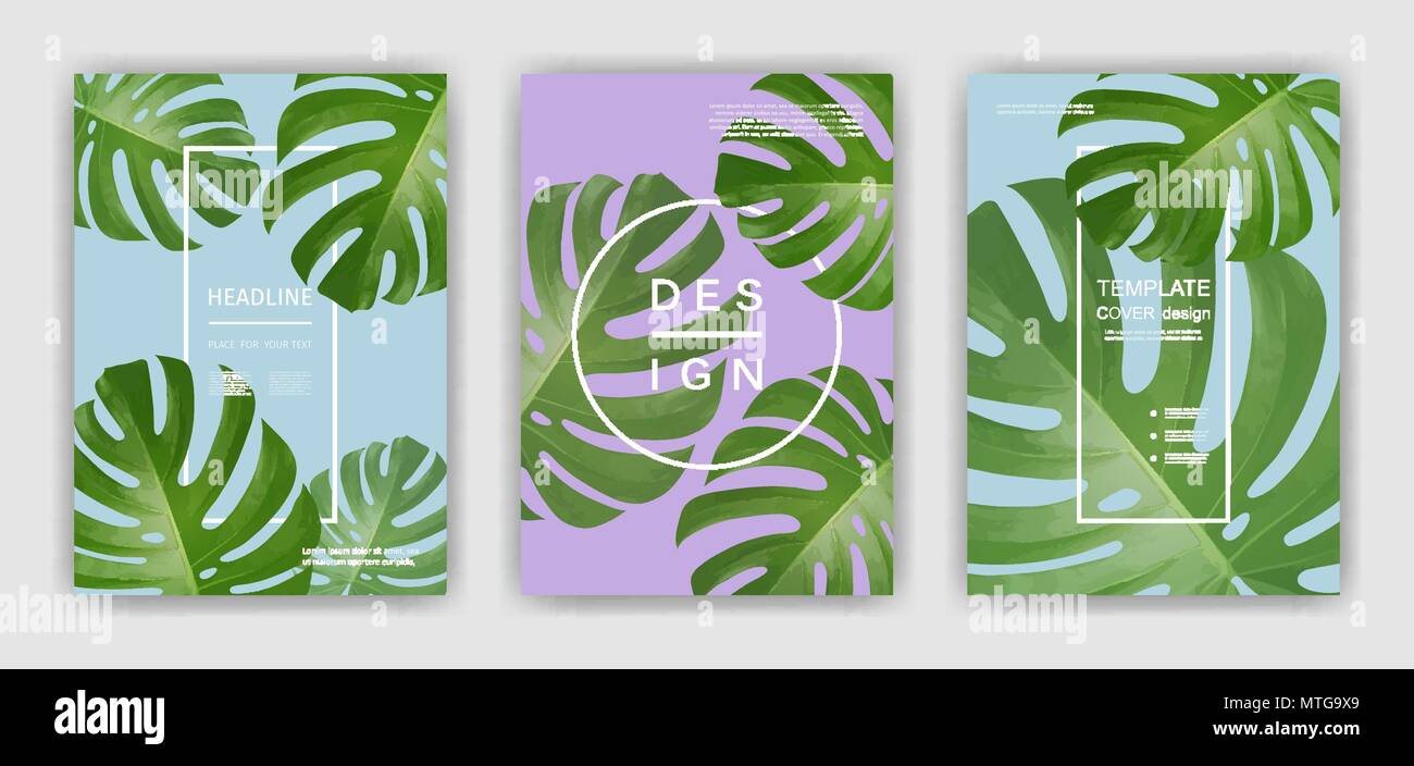 Arrière-plan avec des feuilles de palmier tropical. Plantes tropicales exotiques. Illustration de Vecteur