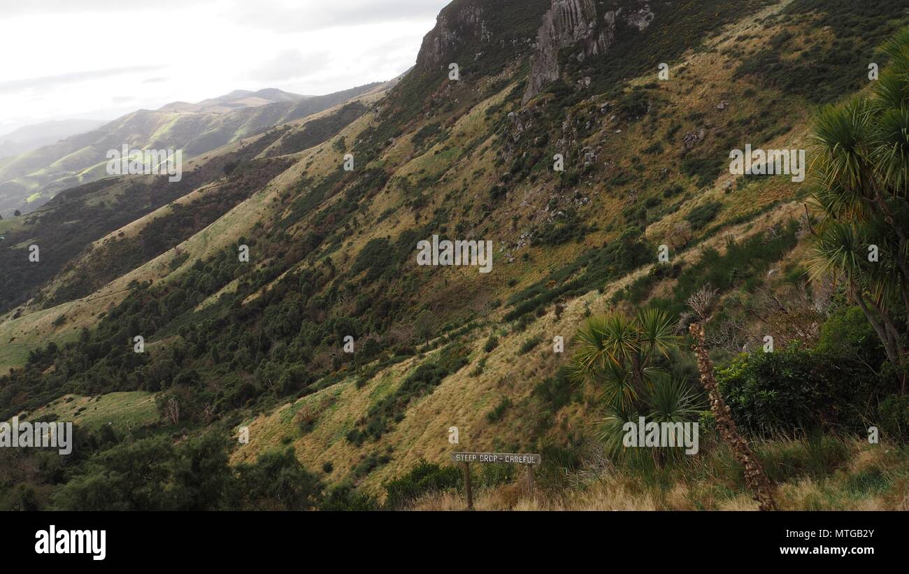 Randonnées au-dessus de Akaroa Banque D'Images