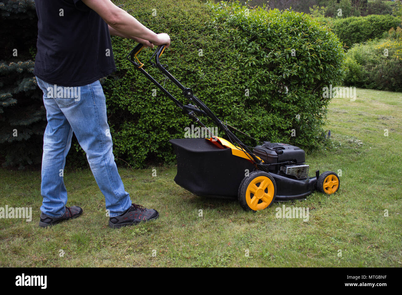 Un homme coupe l'herbe dans le jardin avec une tondeuse à essence. Dans l'arrière-plan est un buisson. Banque D'Images