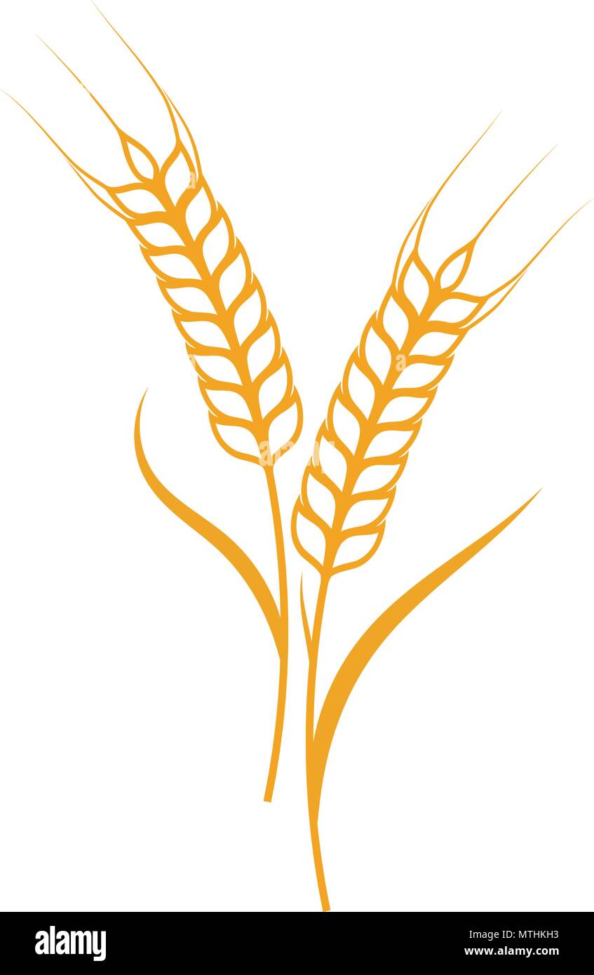 Modèle de blé de l'Agriculture l'icône vecteur illustration design Illustration de Vecteur