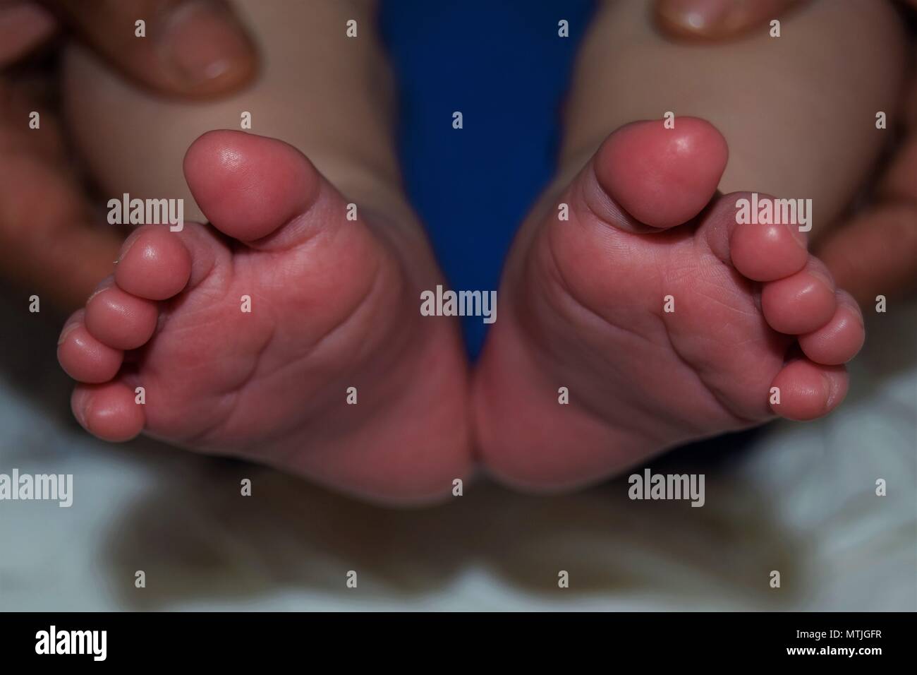 Pieds de bébé Banque D'Images