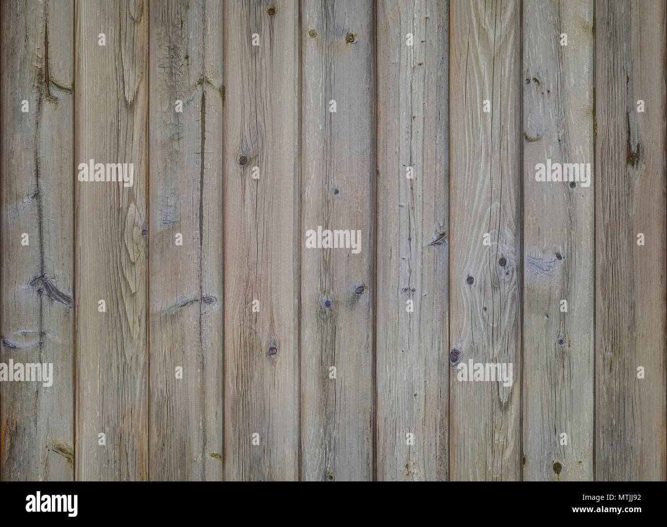 Coupe de l'image bois naturel avec structure du bois. Présente close-up. Banque D'Images