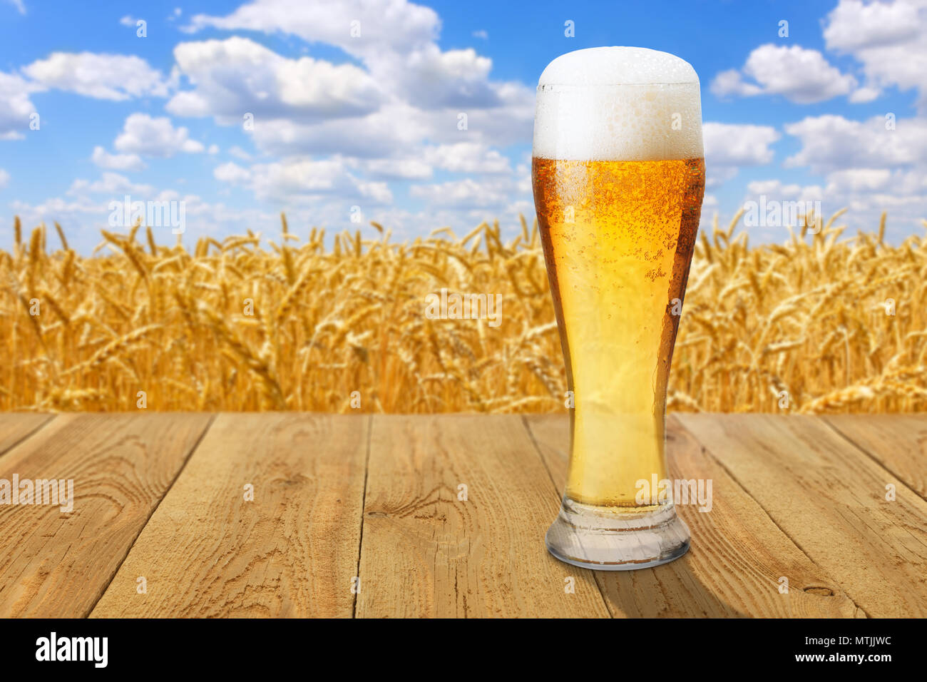 Verre de bière légère de mousse et de bulles sur table en bois contre golden ripe wheat field sur journée d'été Banque D'Images