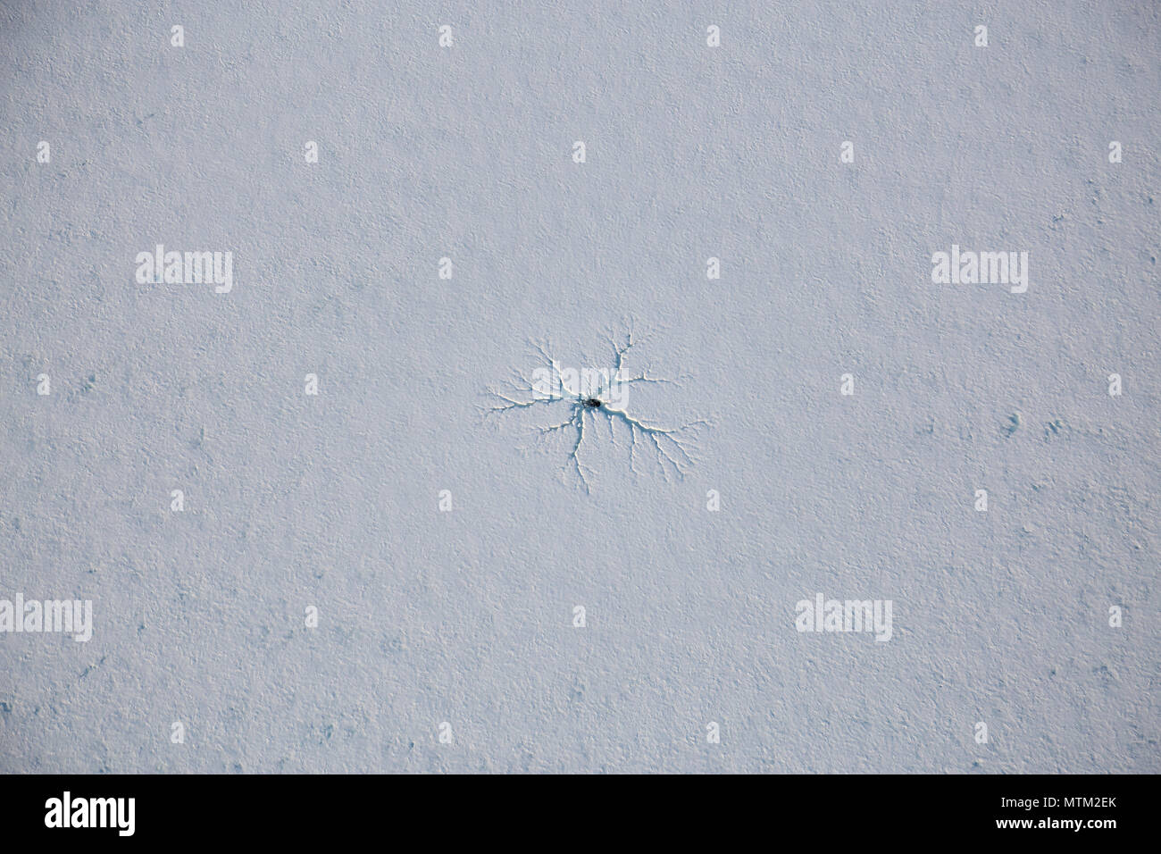 Vue aérienne de la fissure de la glace dans un lac gelé. Prises à Garibaldi, au nord de Vancouver, Colombie-Britannique, Canada Banque D'Images