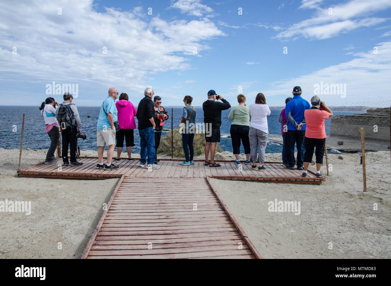Les touristes à regarder la vie marine à partir de la haute falaise haut lookout à Peninsula Valdes, sur la côte de l'Argentine. Banque D'Images
