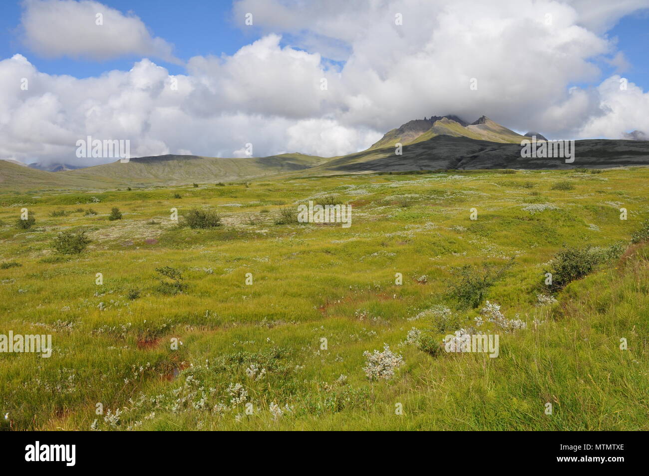 Vaste vue sur panormamic mountain dans le parc national du Vatnajökull, l'Islande, Banque D'Images
