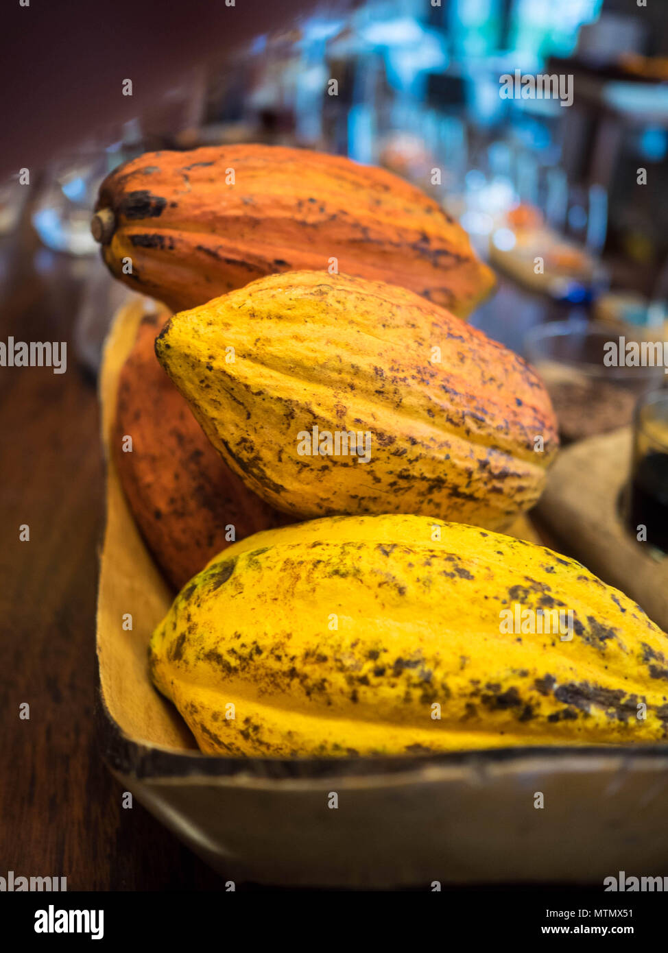 Orange et jaune récoltés les cabosses de cacao dans le bar de l'hôtel Four Seasons sur Peninsula Papagayo dans la région de Guanacaste Costa Rica Banque D'Images