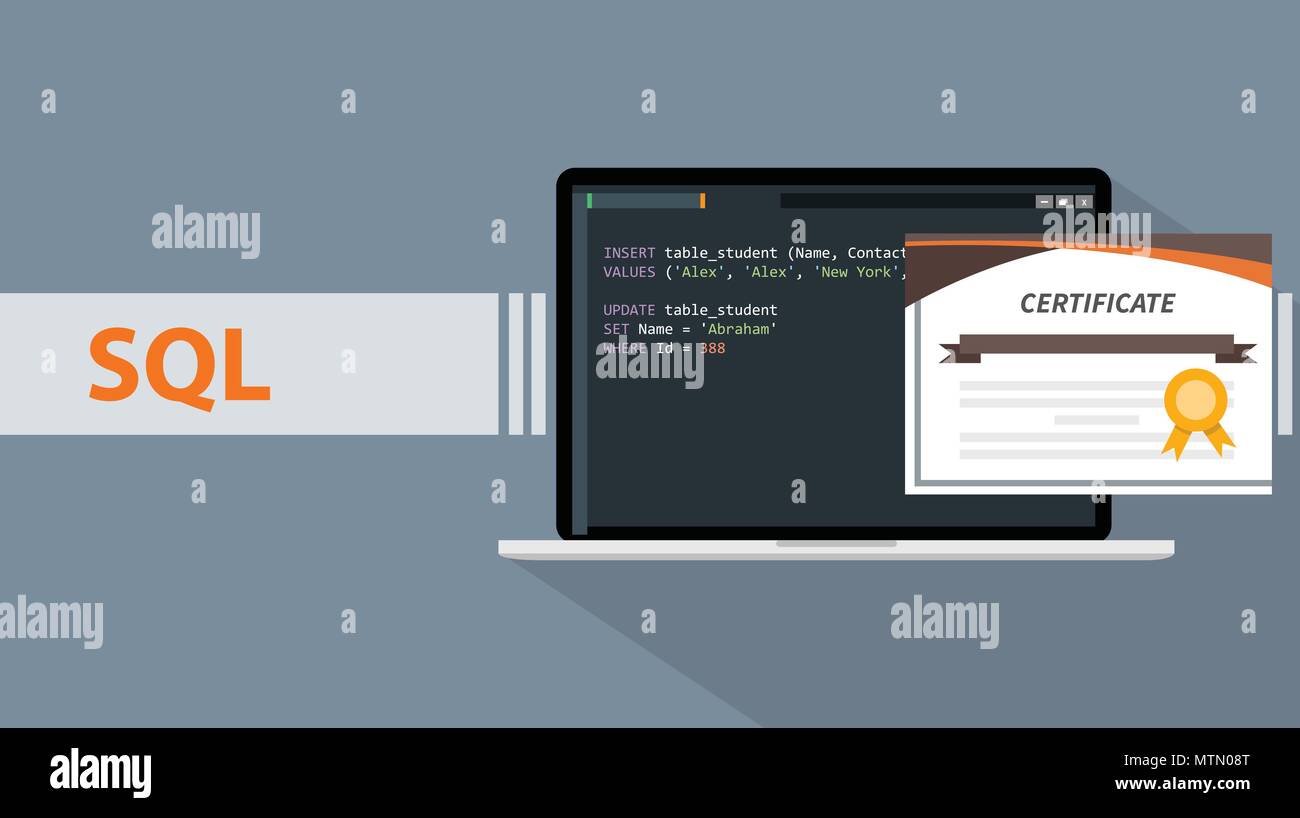 Programmation SQL langages de requête structuré d'apprentissage en ligne à l'école certification illustration graphique vectoriel Illustration de Vecteur