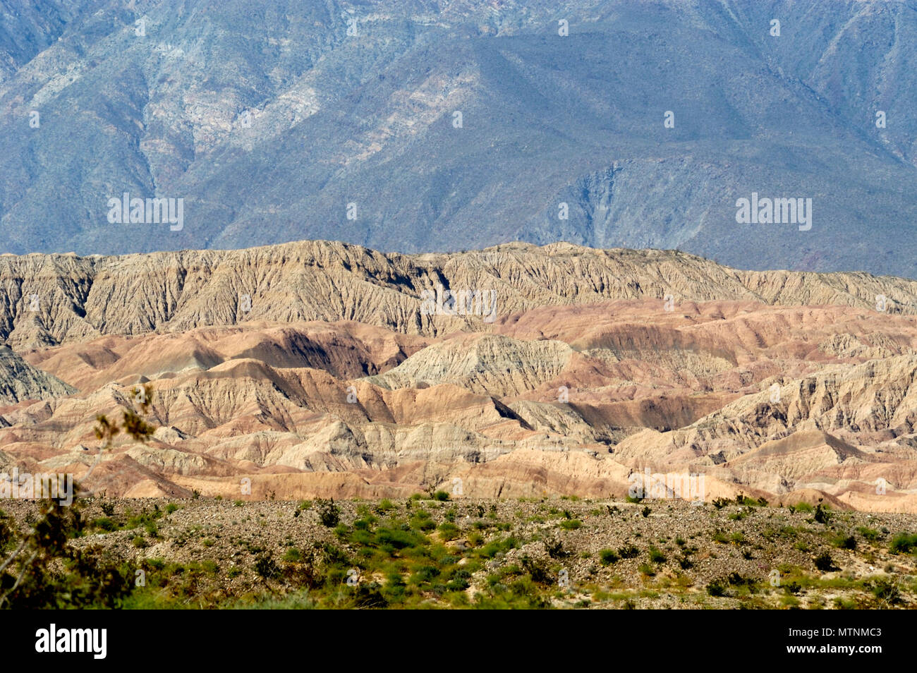 Montagnes de Santa Rosa, les roches sédimentaires, razorback ridges, San Felipe, lavage Badlands Borrego, Anza-Borrego Desert State Park, CA 2248 050312 Banque D'Images