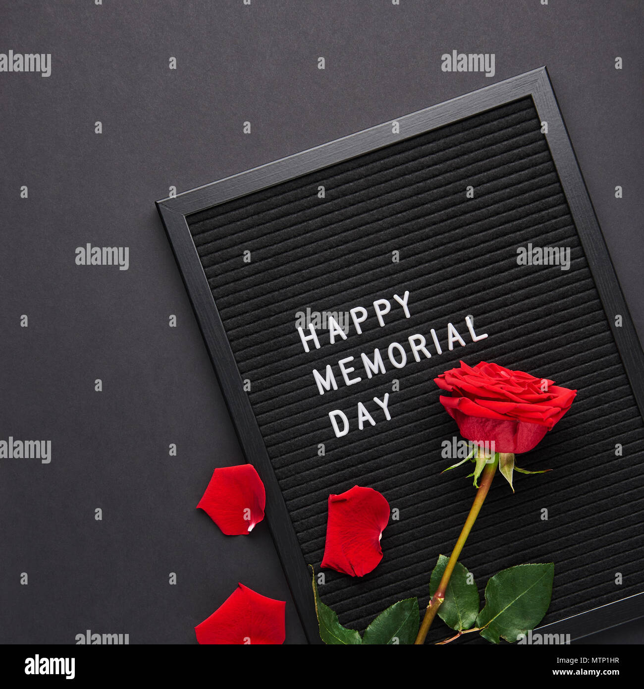 Letterboard Noir Avec Des Lettres En Plastique Blanc Avec Citation Happy Valentines Day Rose Et Des Petales De Rose Sur Fond Noir Les Carres Photo Stock Alamy