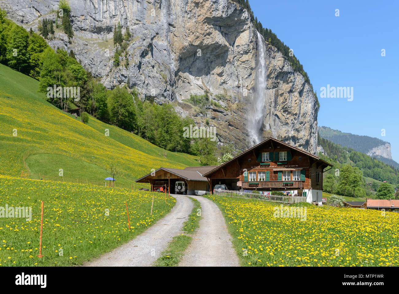 Maison de ferme traditionnelle suisse debout sur la pente sous la cascade Staubbach par temps clair en mai avec des fleurs partout Banque D'Images